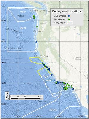 Blue and fin whale residence time and occupancy in Navy training and testing areas off the U.S. West Coast